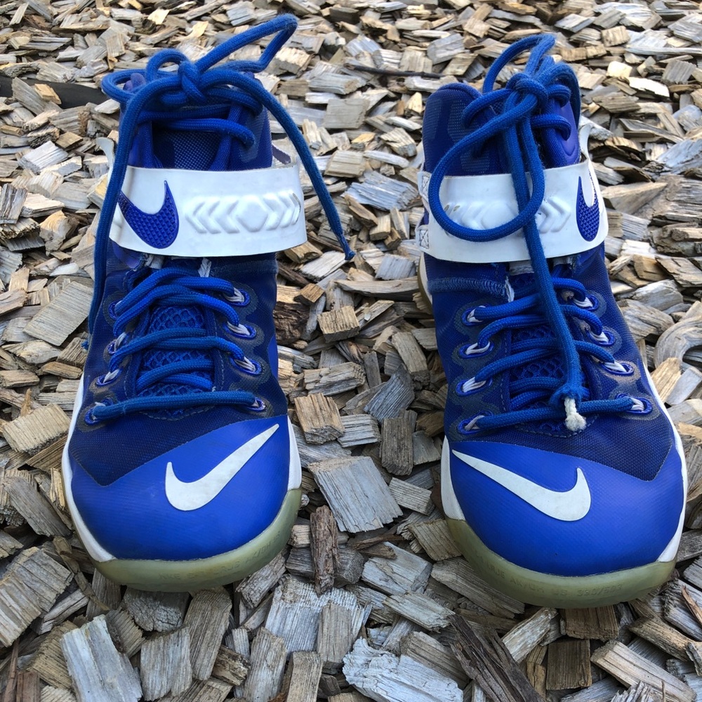 Nike Lebron James Sneakers